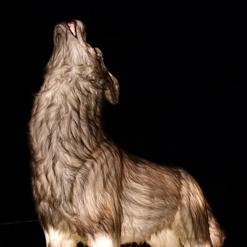 Realistic simulation fur Wolf lantern