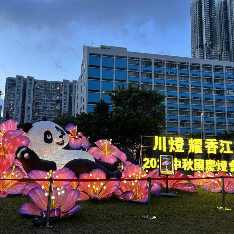 Custom Themed Lantern Displays: 300K Visitors at Sichuan-Hong Kong Cultural Fusion Festival