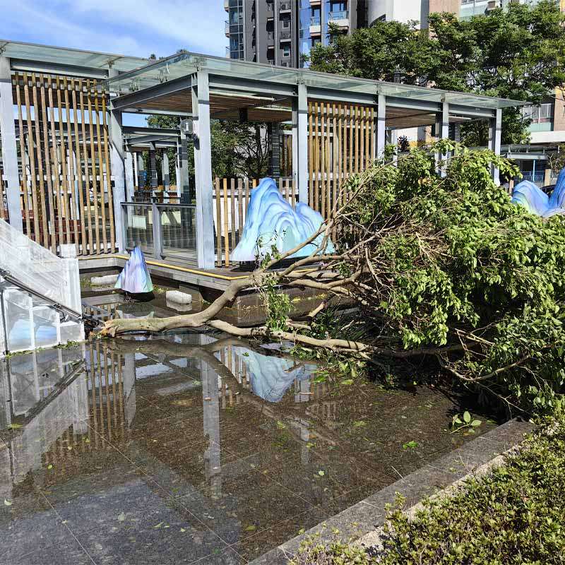 typhoon-damage-context