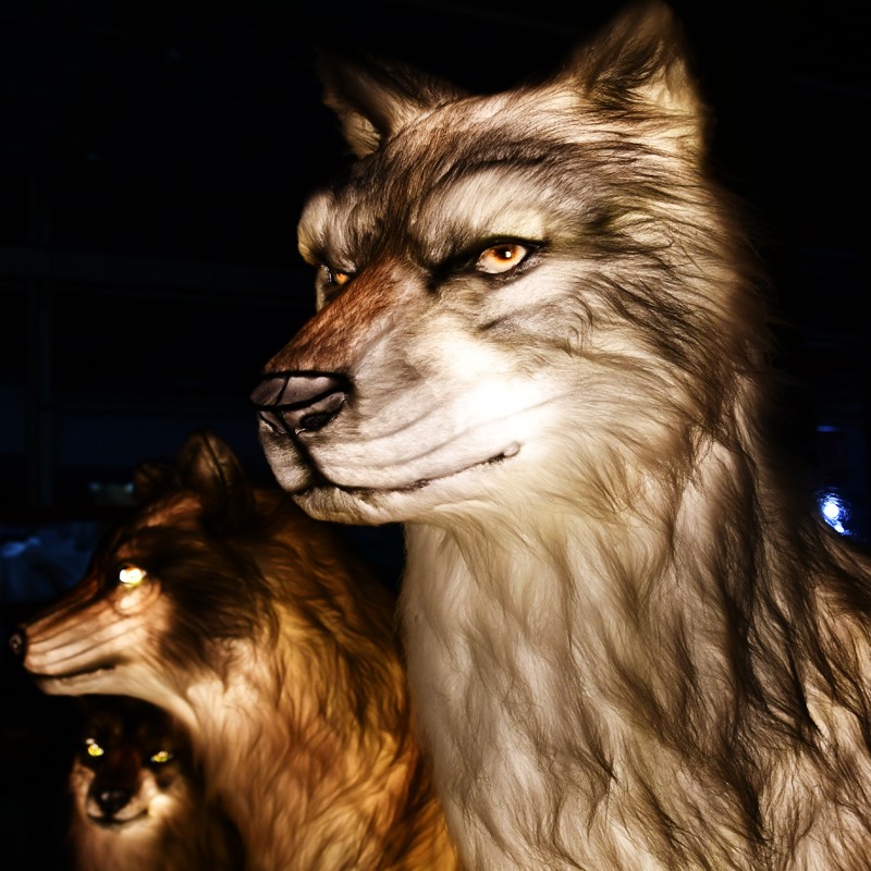 Realistic Wolf Figurative Light Sculptures for Zoos | LanternsArt