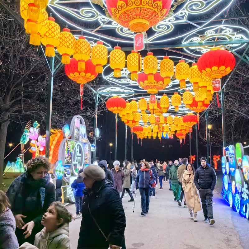 visitors-immersed-in-lantern-art