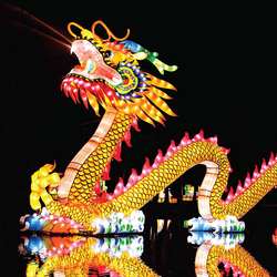 Chinese Festival Lanterns